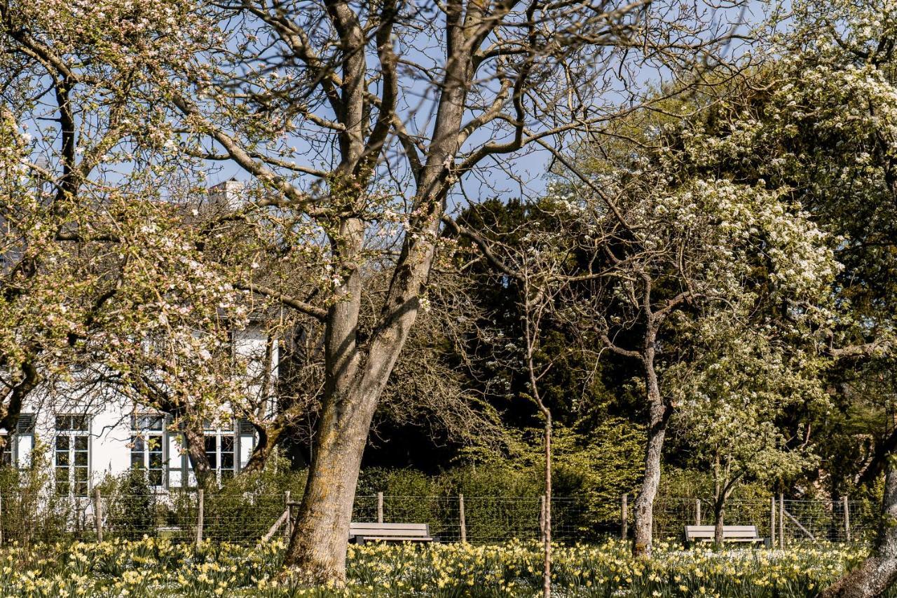La Damme Villa Bagian luar foto